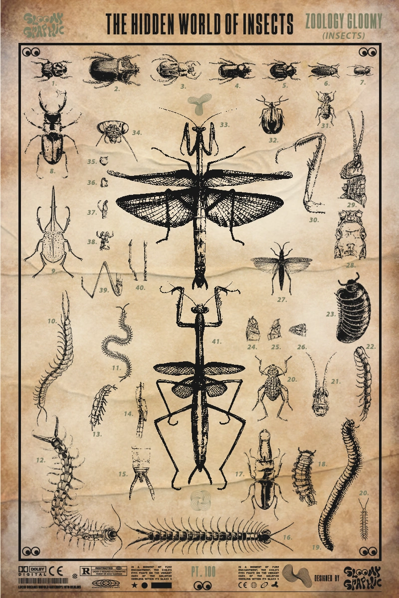 Affiche Zoologie encadrée sur le chevalet