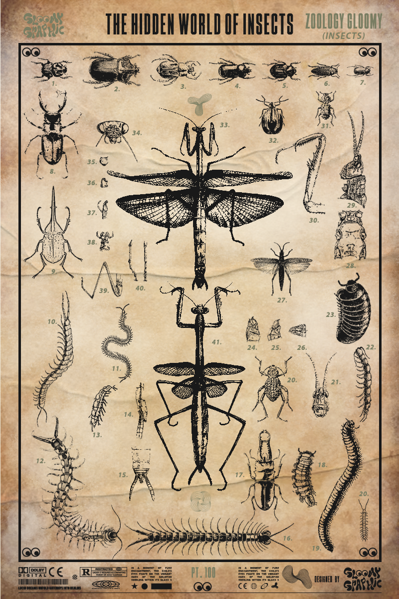 Affiches – Zoologie