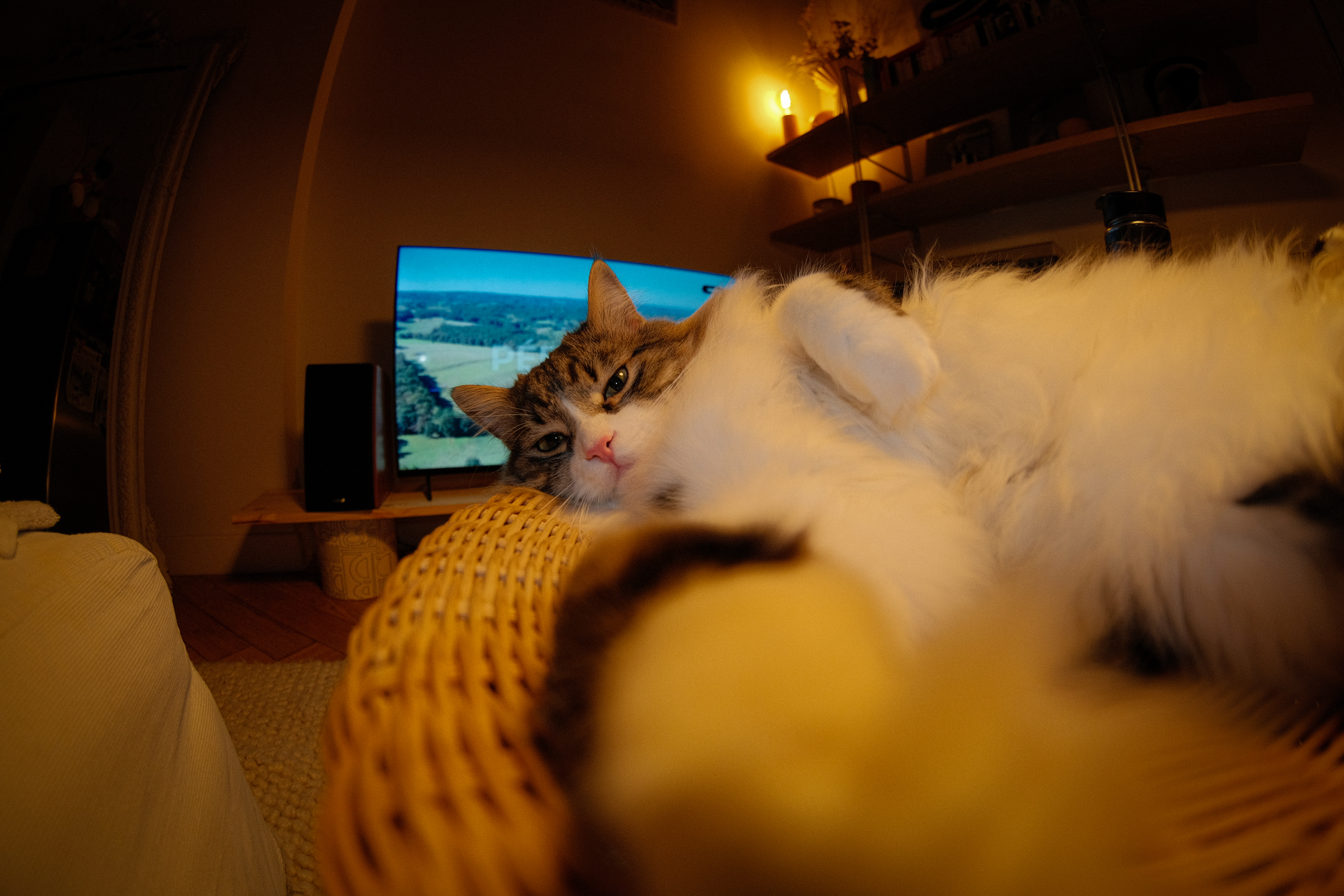 Chat – 1