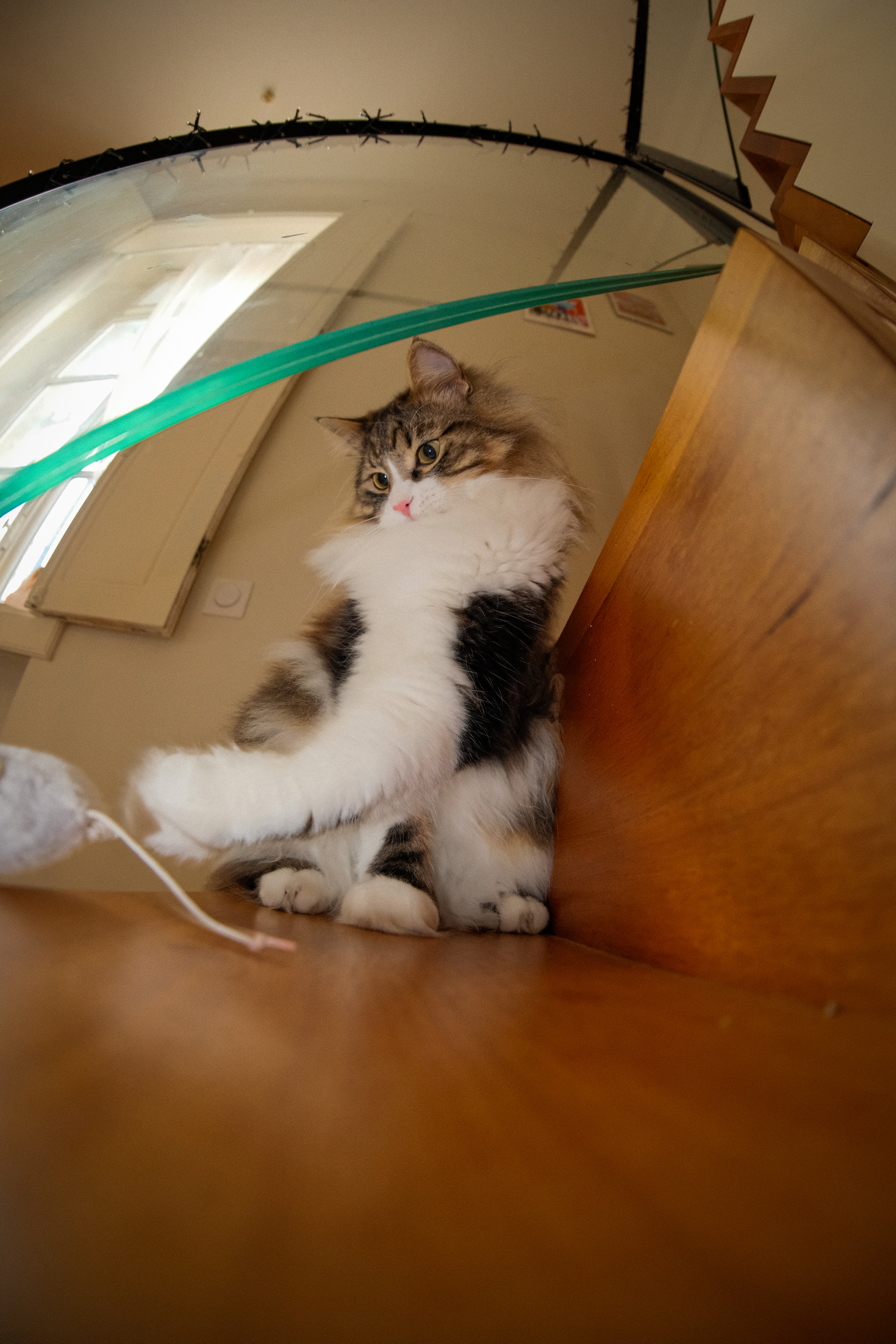 Chat – 2