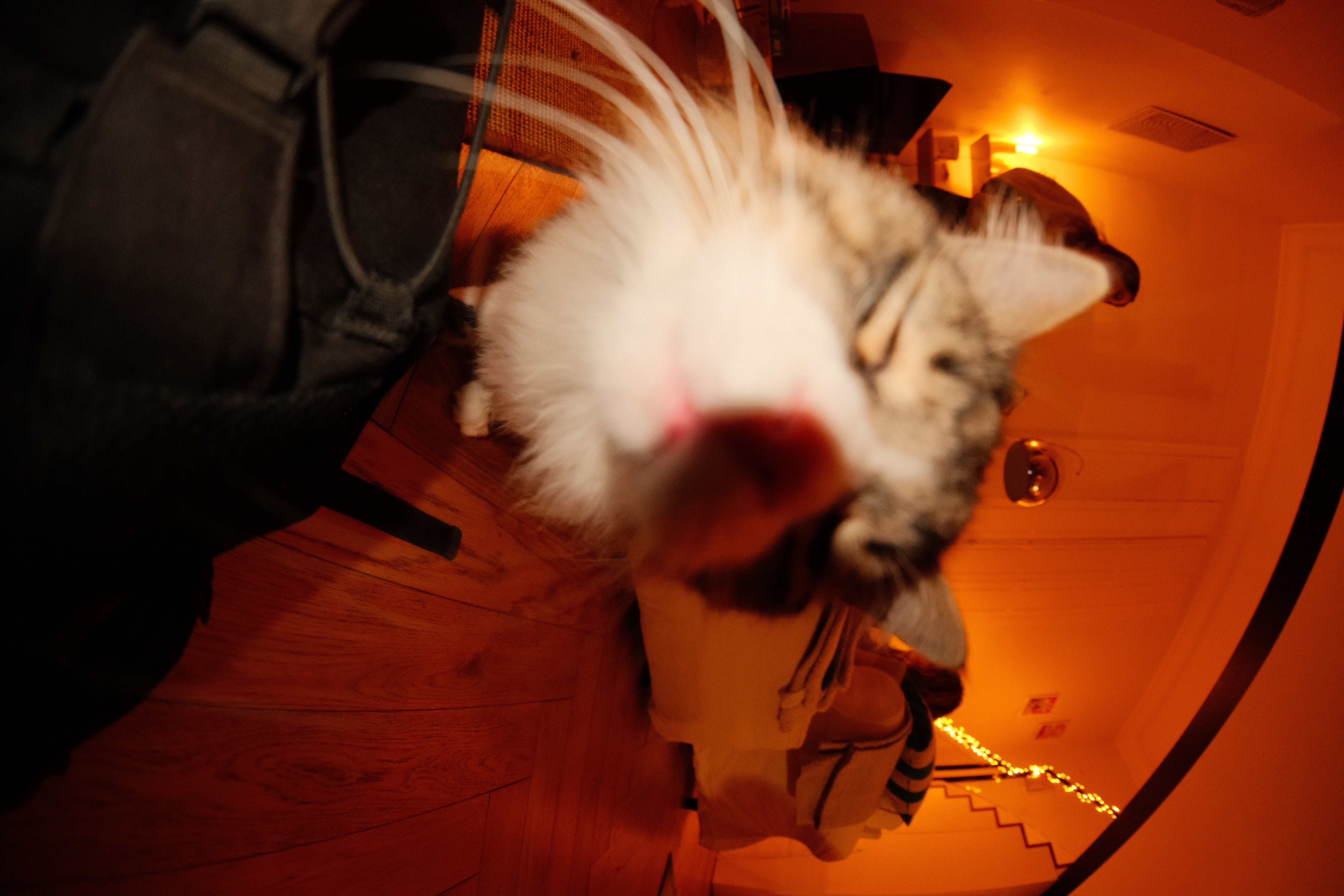 Chat – 5
