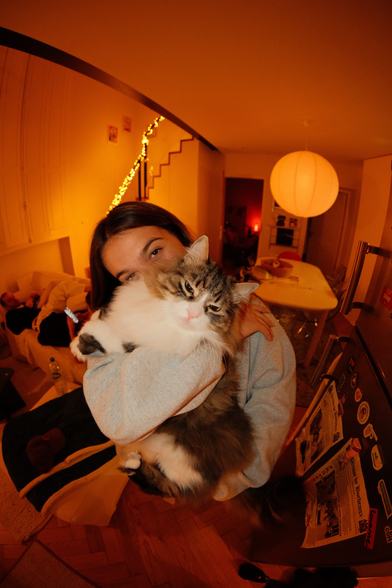 Une personne porte un chat dans un intérieur éclairé en orange