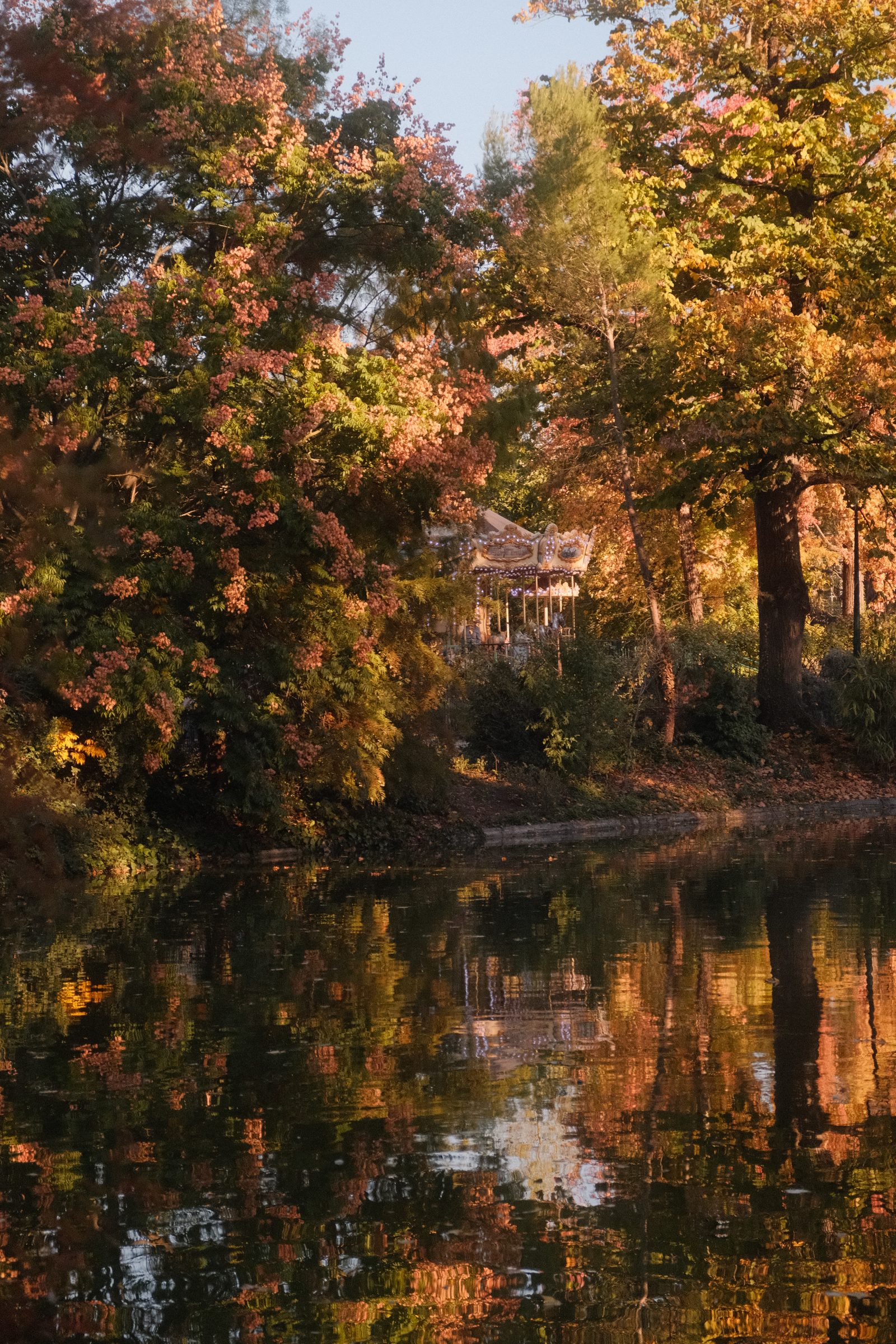 Des arbres d’automne se reflètent dans l’eau