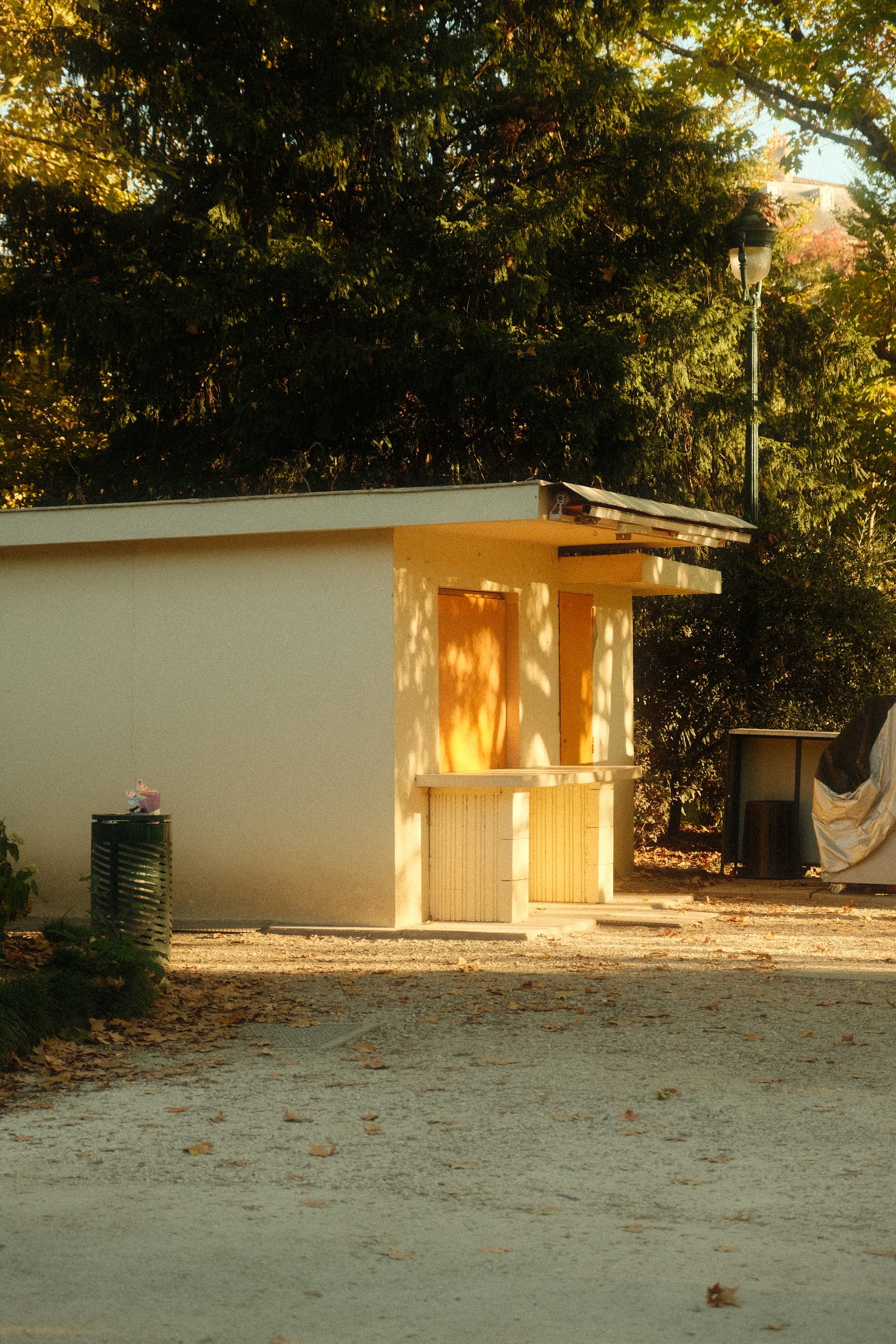 Un petit bâtiment clair baigné de soleil sous les arbres